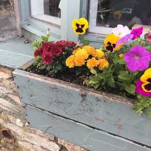 Meet your Posher, Alisa